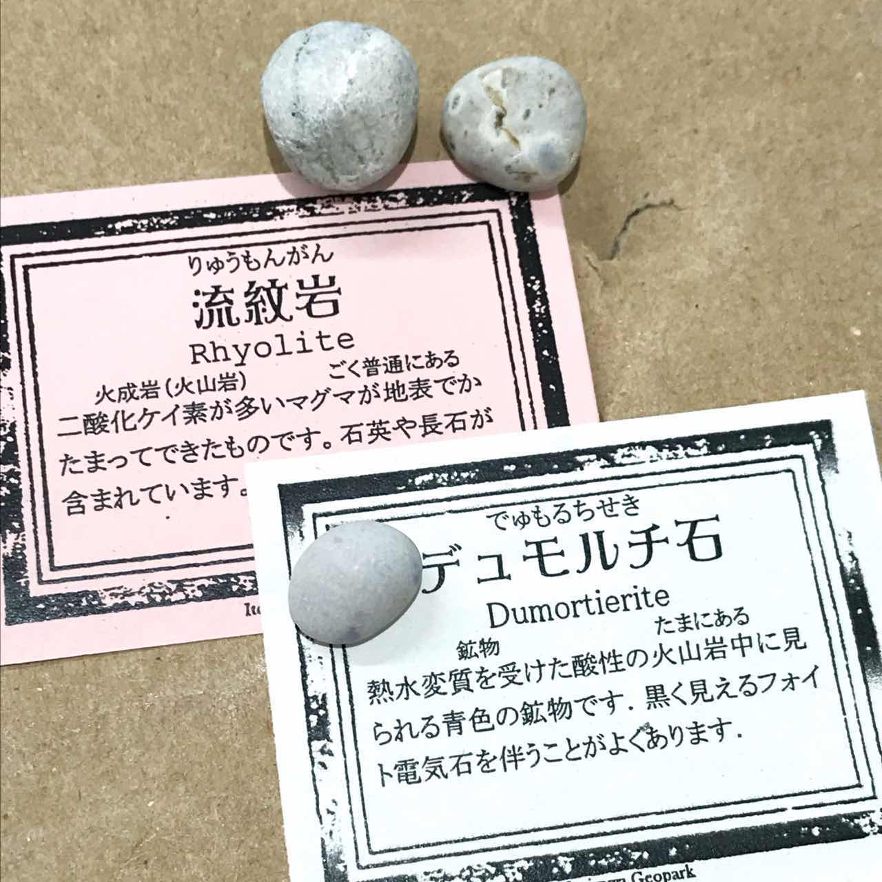 フォッサマグナミュージアム 石鑑別