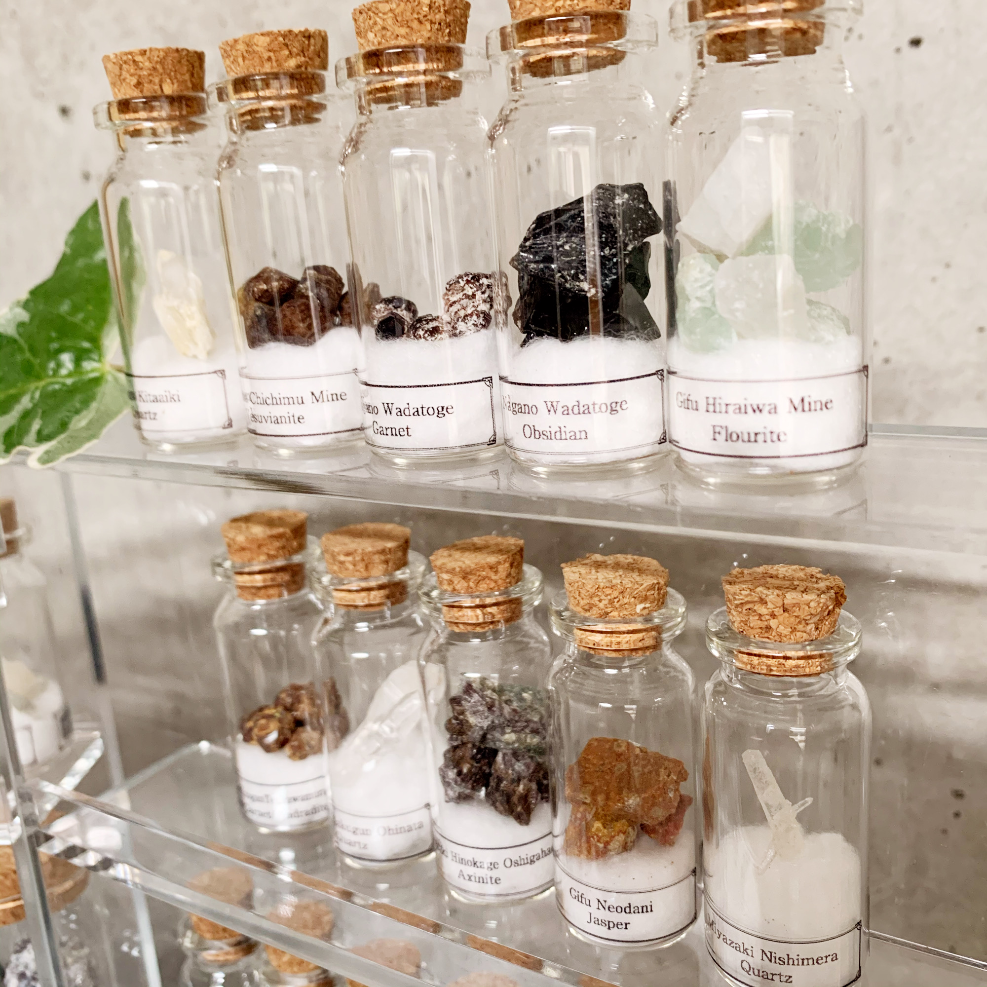 小瓶 コレクションケース アクリル