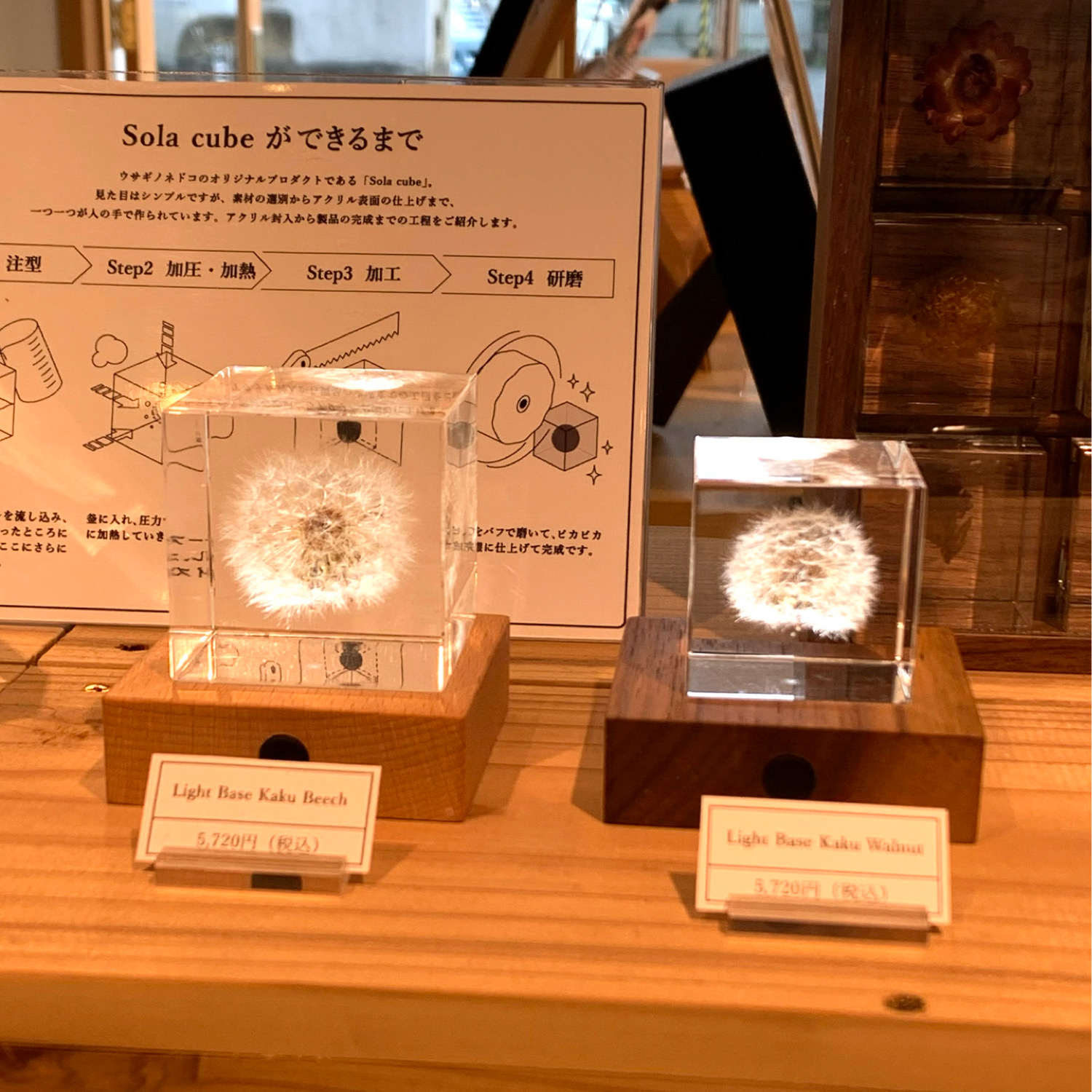 ウサギノネドコ Light Base kaku ライト付きディスプレイ オシャレな台