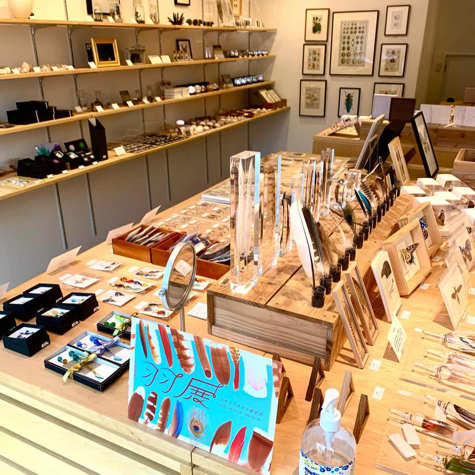 自然の造形美萌え ウサギノネドコ東京店へ行った感想 体験談 店内