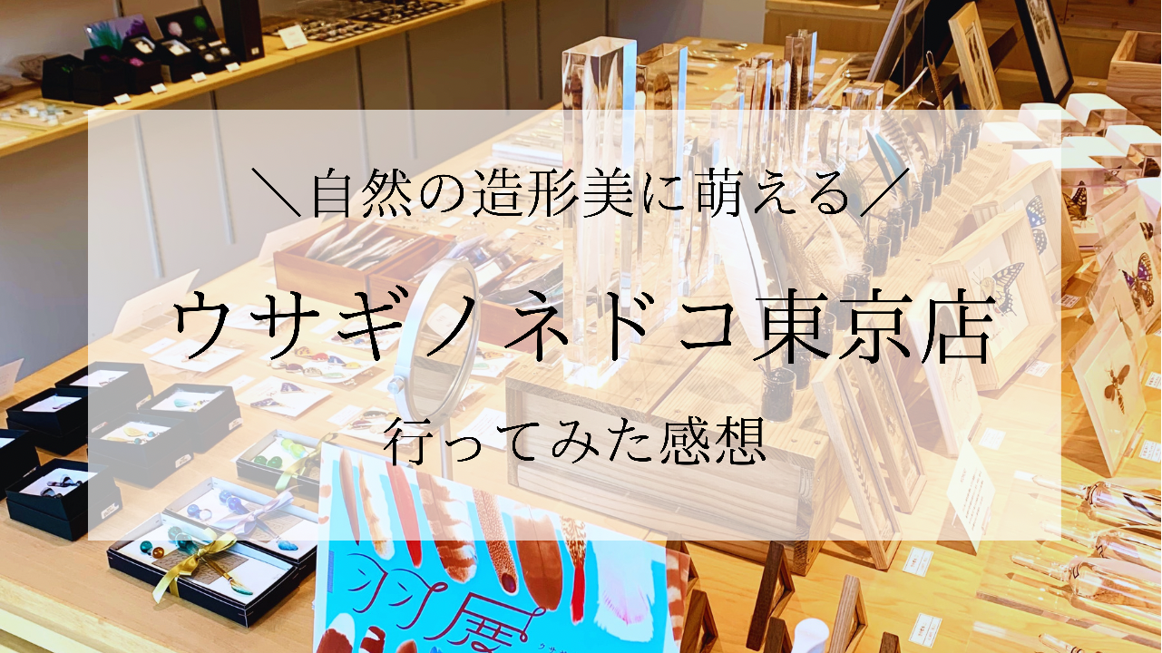 自然の造形美萌え ウサギノネドコ東京店へ行った感想 体験談