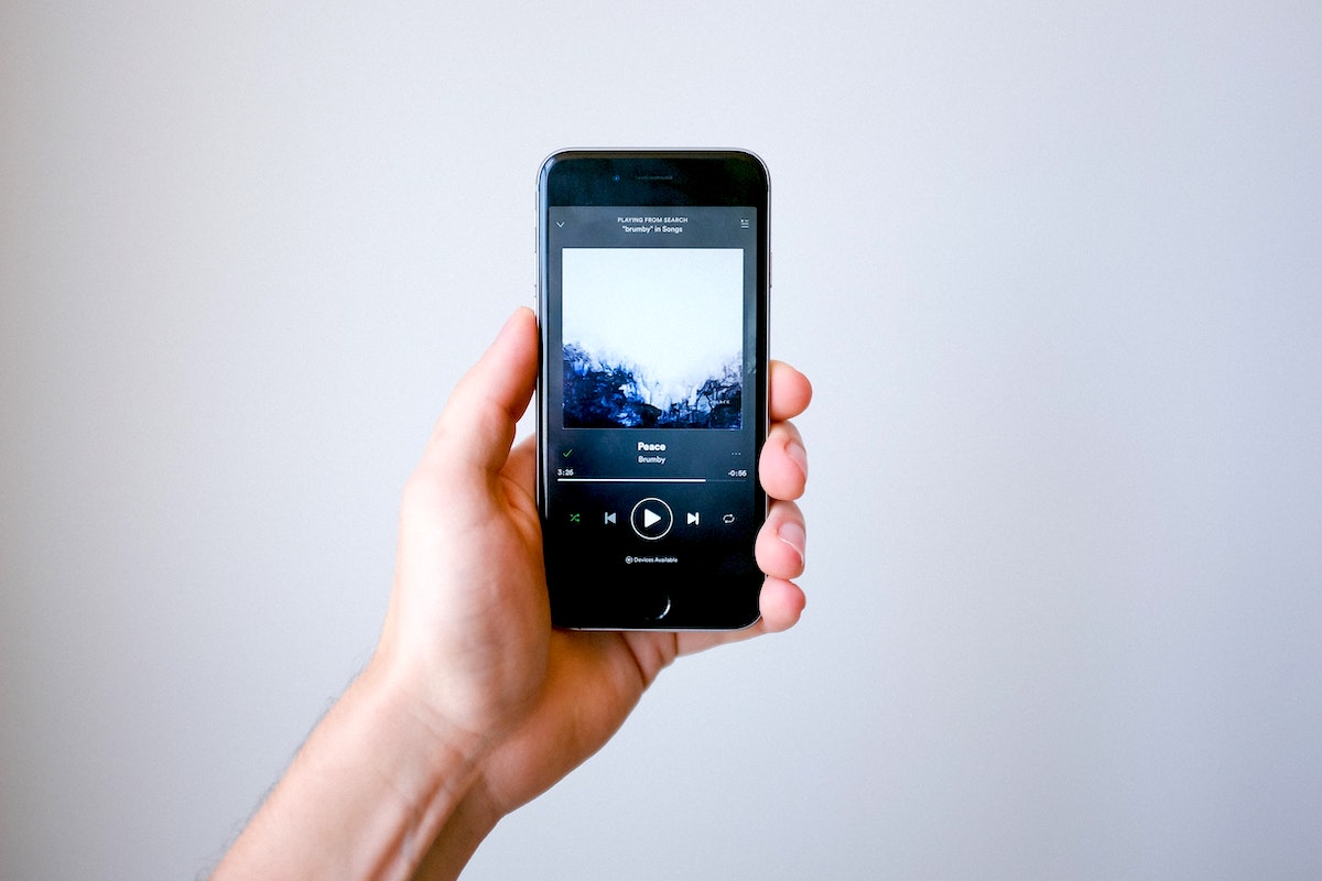 成功例 やらないと損 お金をつくるための節約術 サブスク編