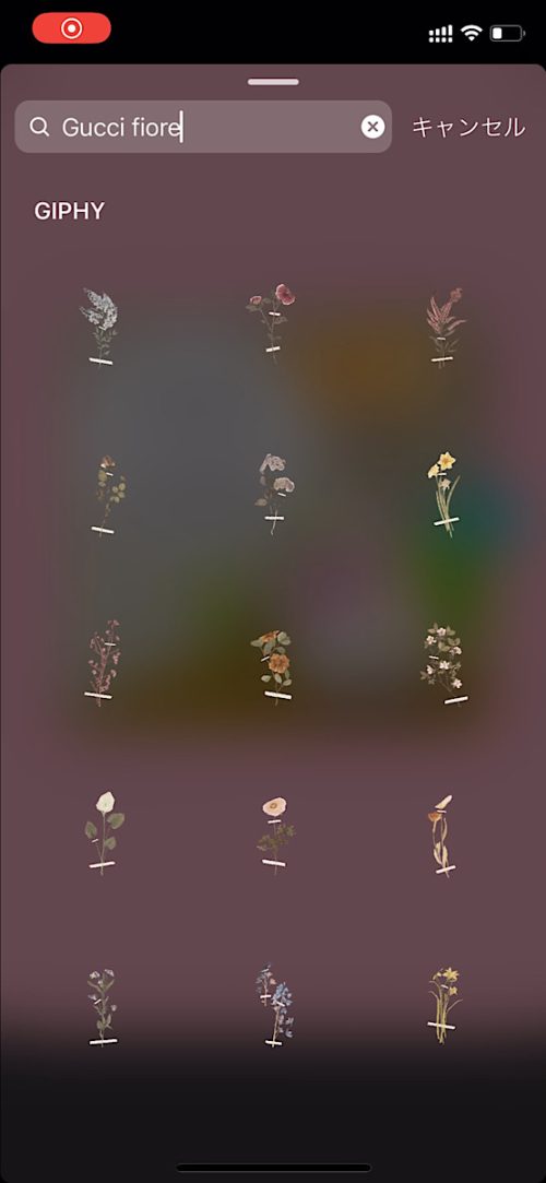 インスタ gif オシャレ,大人可愛い GIF おすすめ,検索ワード スタンプ ストーリー加工,人気 gif まとめ,2021 保存版 ストーリーズデザイン,花 無料 素材