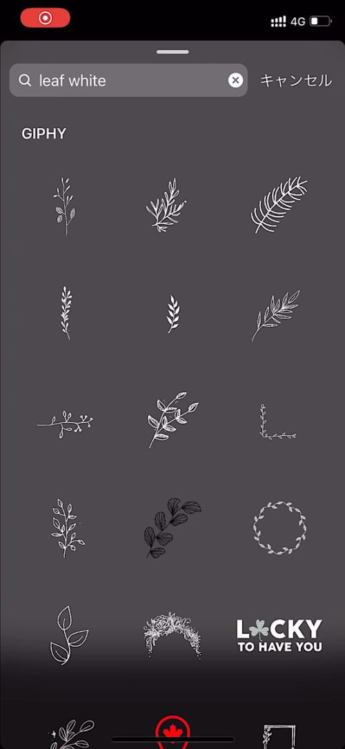 インスタ gif オシャレ,大人可愛い GIF おすすめ,検索ワード スタンプ ストーリー加工,人気 gif まとめ,2021 保存版 ストーリーズデザイン,植物 無料 素材