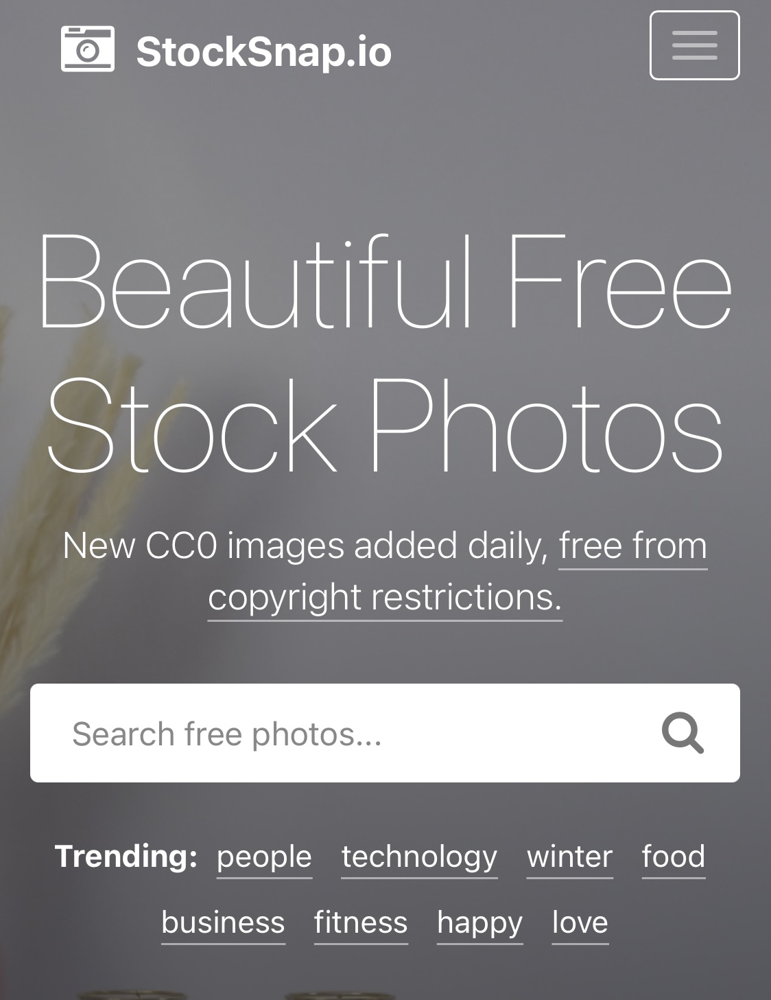 フリー素材 おしゃれ シンプル,著作権フリー画像 検索,フリー画像 登録不要,無料 写真素材 まとめ,フリー素材 人物 商業利用OK