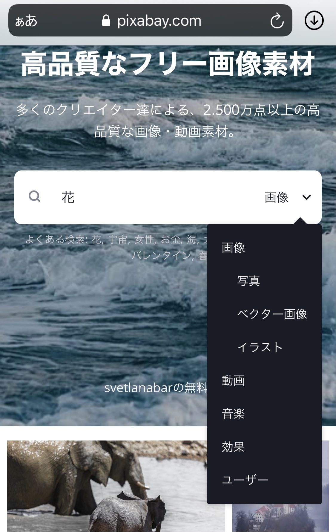 フリー素材 おしゃれ シンプル,著作権フリー画像 検索,フリー画像 登録不要,無料 写真素材 まとめ,フリー素材 人物 商業利用OK フリー動画