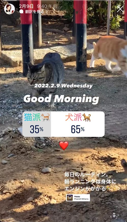 インスタ テンプレ 文章,インスタ テンプレート ストーリー,ストーリーズ おすすめ スタンプ機能 とは,インスタ フォロワー 増やす方法,インスタグラマー,sns集客 初心者