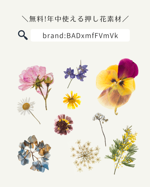 フリー素材 おしゃれ,商業利用可能 イラスト,Canva 素材 無料,Canva 素材 おすすめ,Canva 素材 見つけ方