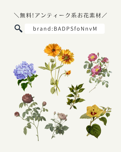 フリー素材 おしゃれ,商業利用可能 イラスト,Canva 素材 無料,Canva 素材 おすすめ,Canva 素材 見つけ方