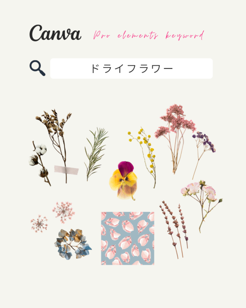 フリー素材 おしゃれ 花,商業利用可能 イラスト,Canva 素材 無料,Canva 素材 おすすめ,canva 検索ワード 可愛い,キャンバ ブランドコード リスト,Canva 素材 見つけ 方,人気素材 ドライフラワー