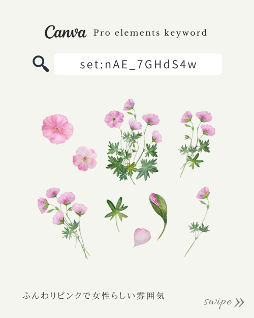 フリー素材 おしゃれ おすすめ,商業利用可能 イラスト,Canva おしゃれ素材 pro,Canva 素材 おすすめ,花イラスト おしゃれ,キャンバ 検索ワード リスト,Canva 素材 見つけ 方,お花 イラスト おしゃれ,花 イラスト リアル