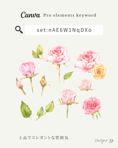フリー素材 おしゃれ おすすめ,商業利用可能 イラスト,Canva おしゃれ素材 pro,Canva 素材 おすすめ,花イラスト おしゃれ,キャンバ 検索ワード リスト,Canva 素材 見つけ 方,お花 イラスト おしゃれ,花 イラスト リアル