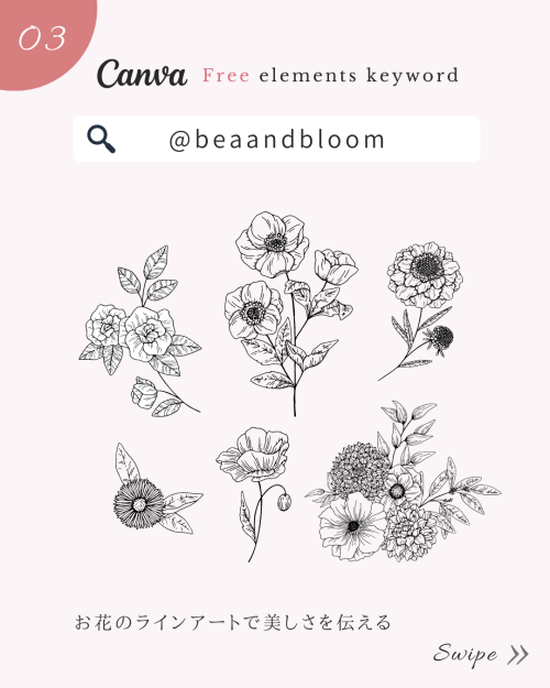 花 素材 フリー,花 イラスト おしゃれ,花 フリー素材 透過,いろんな花 イラスト,花 フリー素材 イラスト おしゃれ,季節の花 イラスト 無料,canva 可愛い 素材,花 イラスト フリー素材 商用可