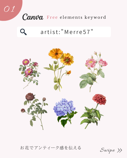 花 素材 フリー,花 イラスト おしゃれ,花 フリー素材 透過,いろんな花 イラスト,花 フリー素材 イラスト おしゃれ,季節の花 イラスト 無料,canva 可愛い 素材,花 イラスト フリー素材 商用可