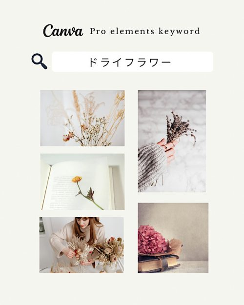 フリー素材 おしゃれ おすすめ,商業利用可能 イラスト,Canva おしゃれ素材 pro,Canva 素材 おすすめ,フリー素材 女の子,キャンバ おしゃれ 検索ワード リスト,Canva 素材 見つけ 方,お花 写真 可愛い