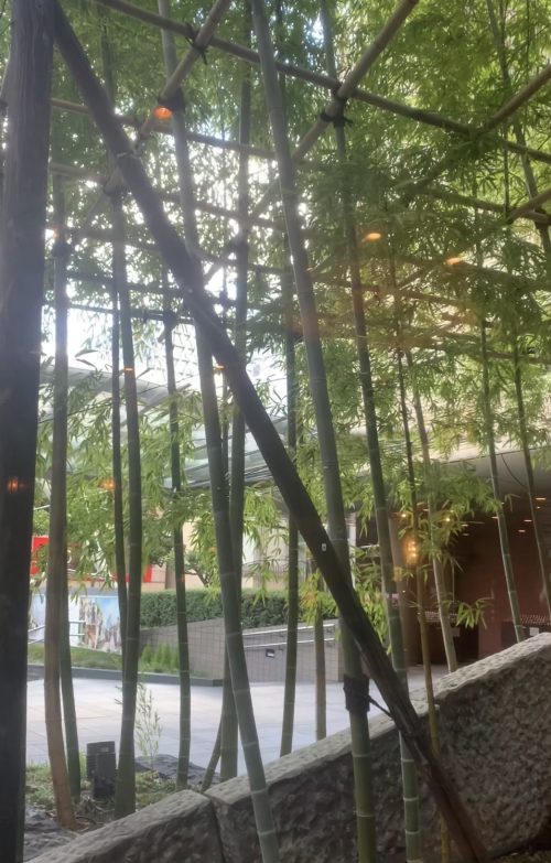 池袋 おしゃれランチ,池袋 カフェ かわいい,池袋 カフェ おすすめ,池袋 ゆっくりできる場所,池袋 カフェ 穴場,池袋駅近 カフェ