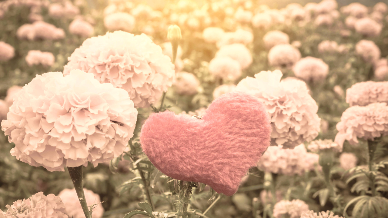 コピペで使えるSNSがおしゃれに!ハートの特殊文字・記号・絵文字まとめ。インスタ映えする