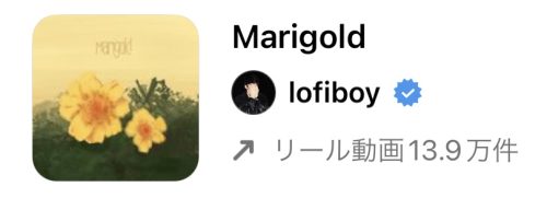 【2023/1/31更新】インスタグラムのリールで流行りの人気曲まとめ