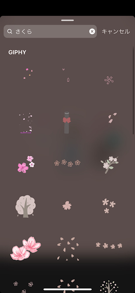 インスタストーリーで使えるおしゃれな春のGIFまとめ,桜や花