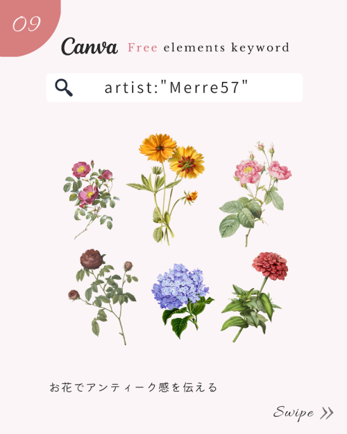 ＼無料だけど有料級／Canvaおしゃれ花素材まとめ【春イラスト編】