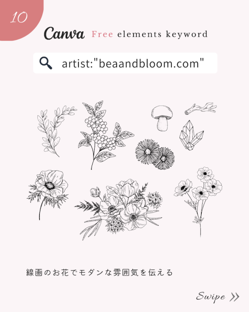 ＼無料だけど有料級／Canvaおしゃれ花素材まとめ【春イラスト編】
