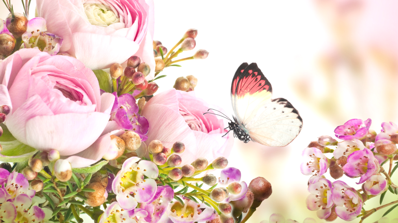 コピペで使えるSNSがおしゃれに!蝶の特殊文字・記号・絵文字まとめ インスタ映え