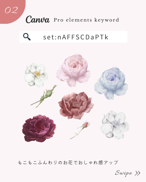 ＼無料だけど有料級／Canvaおしゃれ花素材まとめ【春イラスト編】