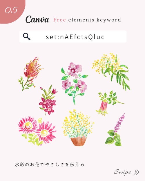 ＼無料だけど有料級／Canvaおしゃれ花素材まとめ【春イラスト編】