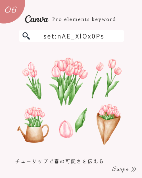 ＼保存版／Canvaのおしゃれすぎる春フリー素材!検索ワード8選【映えるSNS画像】