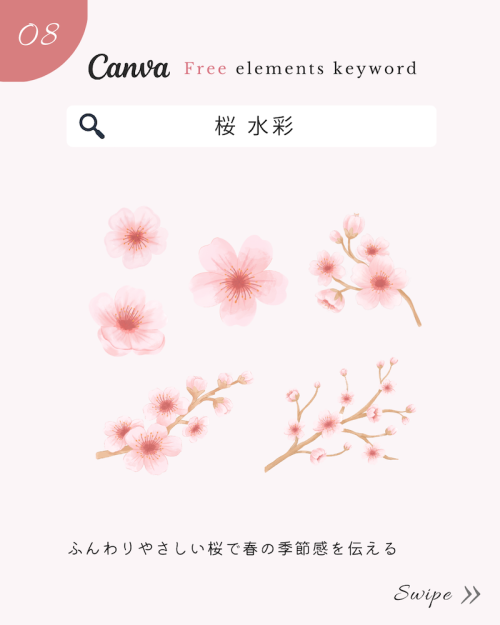 ＼無料だけど有料級／Canvaおしゃれ花素材まとめ【春イラスト編】