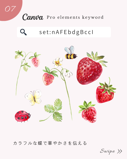 ＼保存版／Canvaのおしゃれすぎる春フリー素材!検索ワード8選【映えるSNS画像】