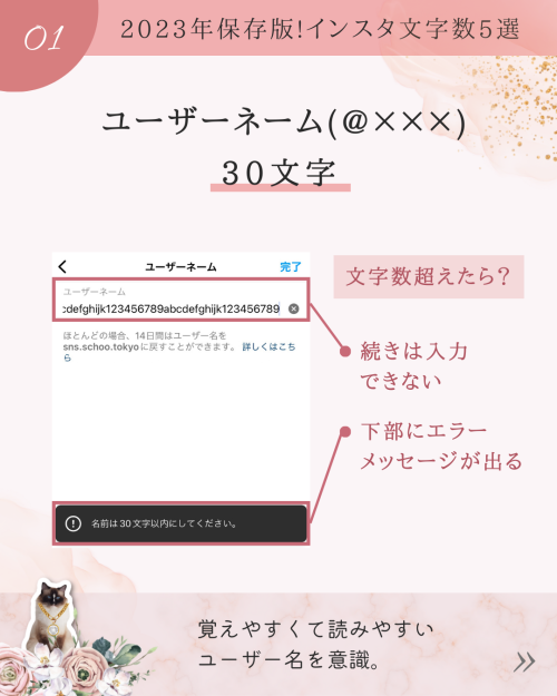 2023年インスタグラム｜重要な文字数5選！プロフィールやキャプション