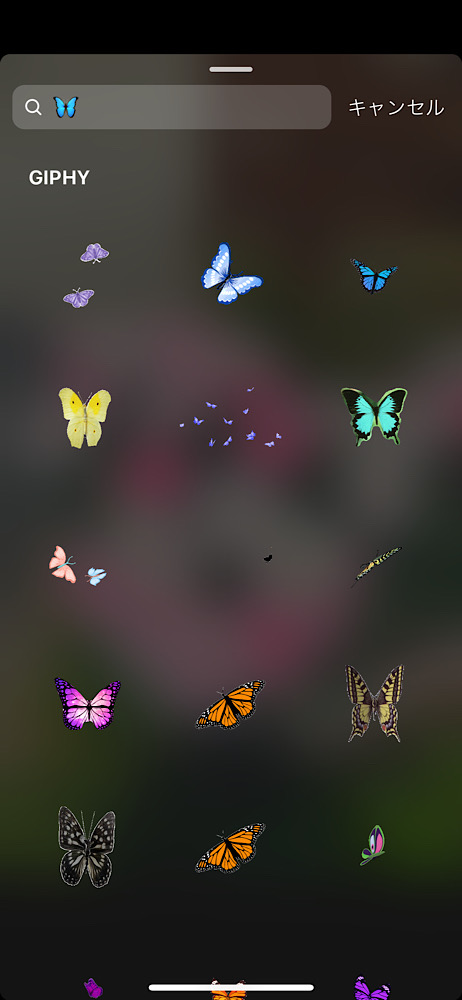 インスタストーリー!おしゃれな蝶のGIFまとめ5選【検索ワードコピペ可】