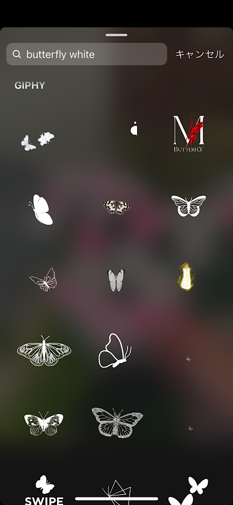 インスタストーリー!おしゃれな蝶のGIFまとめ5選【検索ワードコピペ可】