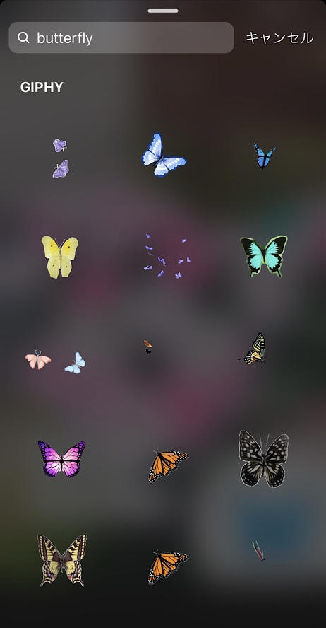 インスタストーリー!おしゃれな蝶のGIFまとめ5選【検索ワードコピペ可】