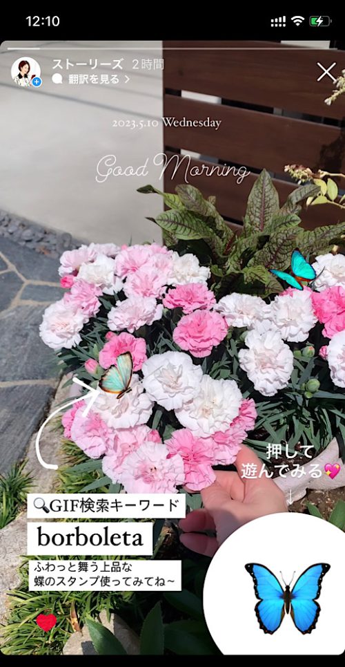 インスタストーリー!おしゃれな蝶のGIFまとめ5選【検索ワードコピペ可】