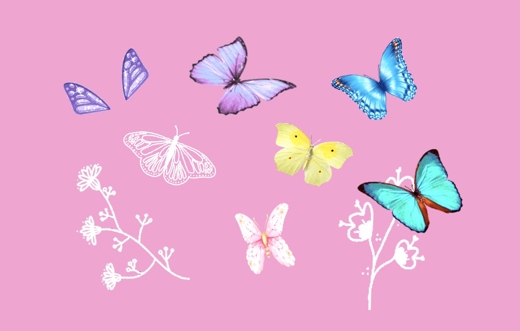 インスタストーリー!おしゃれな蝶のGIFまとめ5選【検索ワードコピペ可】