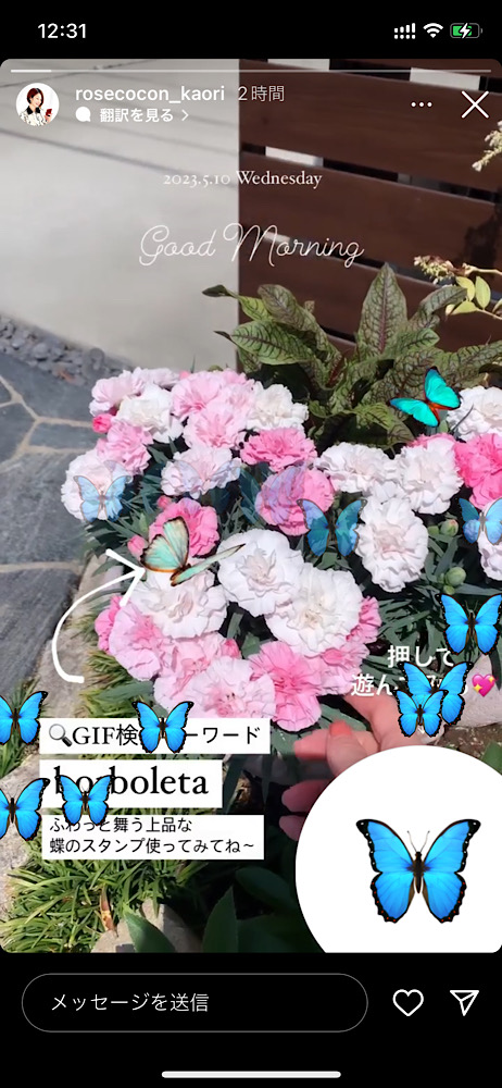 インスタストーリー!おしゃれな蝶のGIFまとめ5選【検索ワードコピペ可】