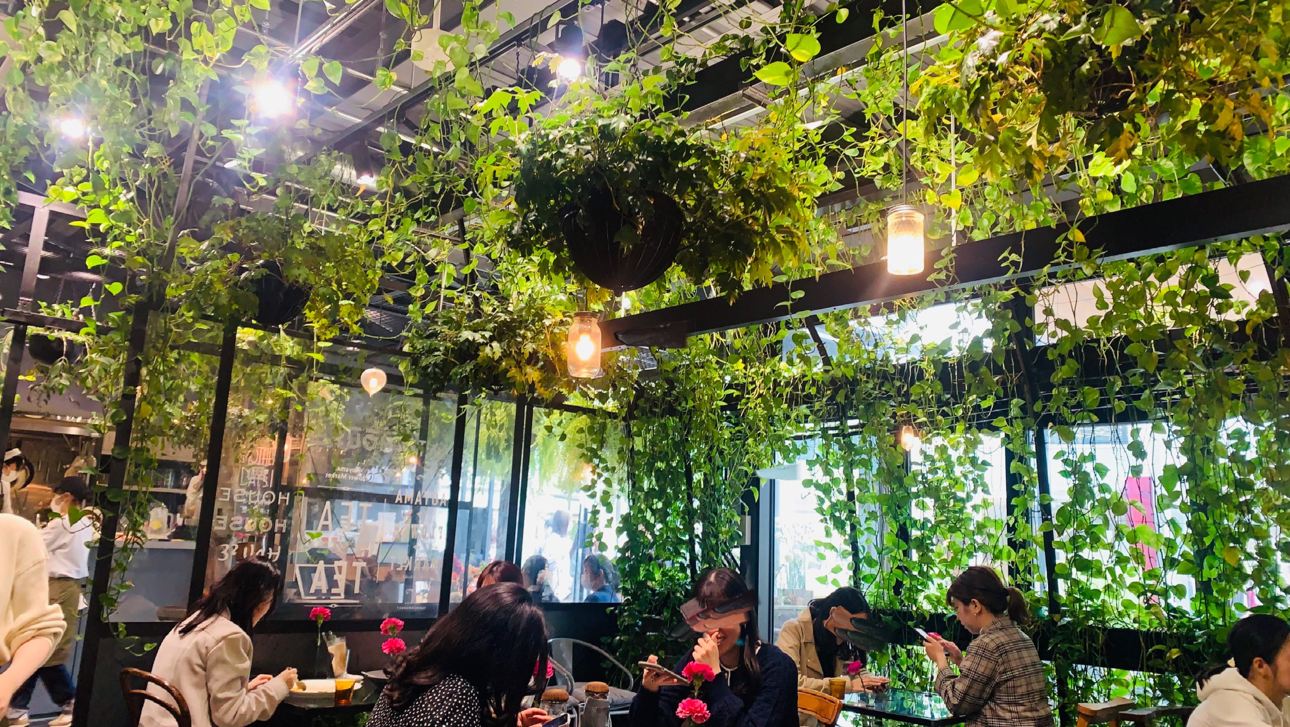 おしゃれで美味しい！おすすめ表参道ランチ＆カフェまとめ【体験記】