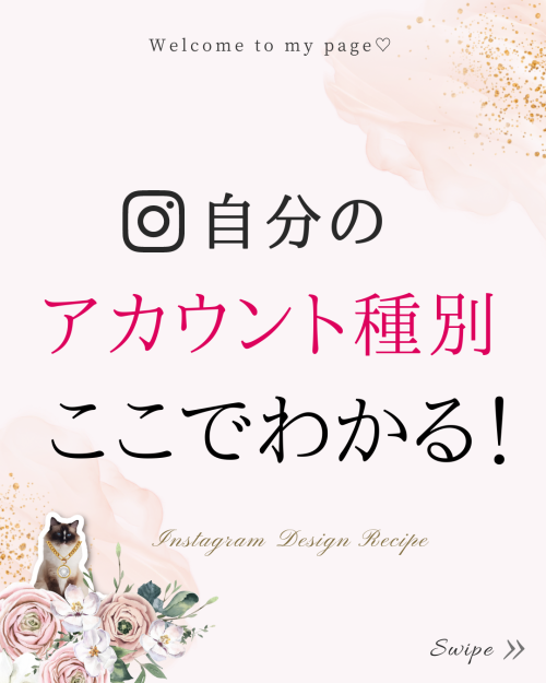 2023年インスタ★自分のアカウント種別の確認方法【個人用アカウントorプロアカウント】