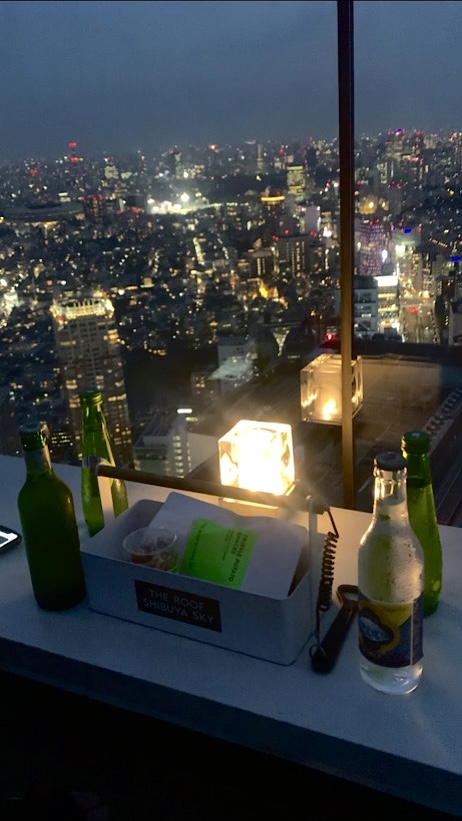 東京!撮影映えスポット展望台『渋谷スカイ』で大人のインスタ美活【体験談】