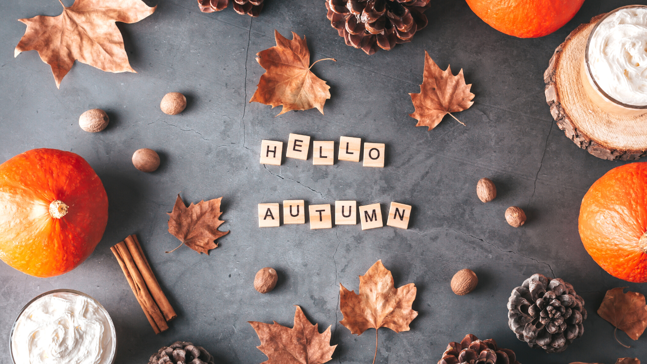 コピペ★SNSがおしゃれに!秋の特殊文字・顔文字・絵文字まとめ【インスタ映え】