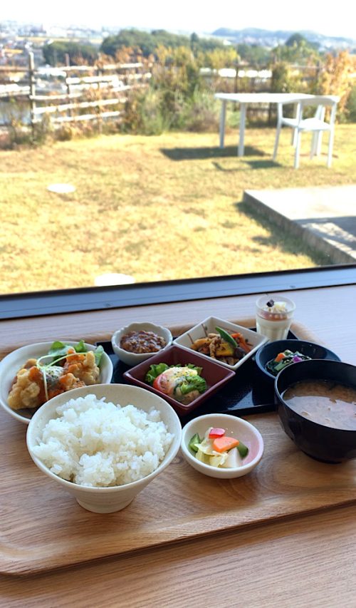 徳島県民おすすめ!健康で美味しい野菜とランチ【みはらしの丘 あいさい広場】