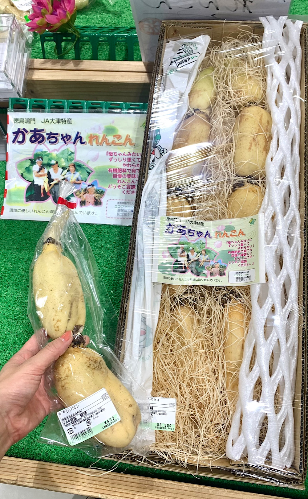 徳島の特産物「れんこん」ジュエリー誕生物語