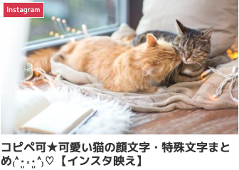 コピペ可★可愛い猫の顔文字・特殊文字まとめ₍˄·͈༝·͈˄₎♡【インスタ映え】