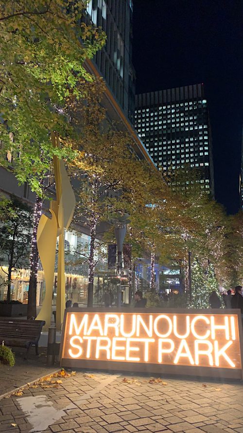 東京・丸の内クリスマスイルミネーション2023！撮影スポット【インスタ映え】丸の内仲通り