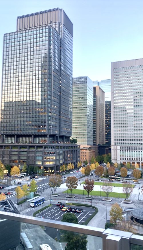 東京・丸の内クリスマスイルミネーション2023！撮影スポット【インスタ映え】KITTE屋上庭園