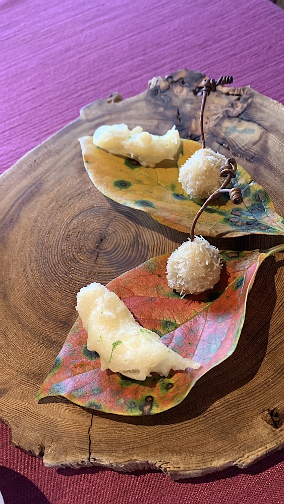 徳島おしゃれ美活旅｜人気のおしゃれカフェ・ランチ5選【インスタ映え】