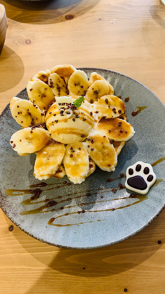 徳島おしゃれ美活旅｜人気のおしゃれカフェ・ランチ5選【インスタ映え】