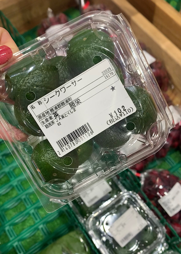 四国・徳島おしゃれ美活旅｜野菜のお土産！おすすめの道の駅・直売所3選【美容健康】